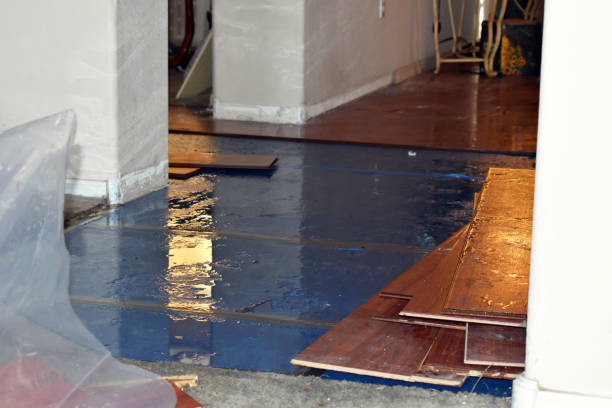 Professional Basement Flood Cleanup technician working in Dover, OH